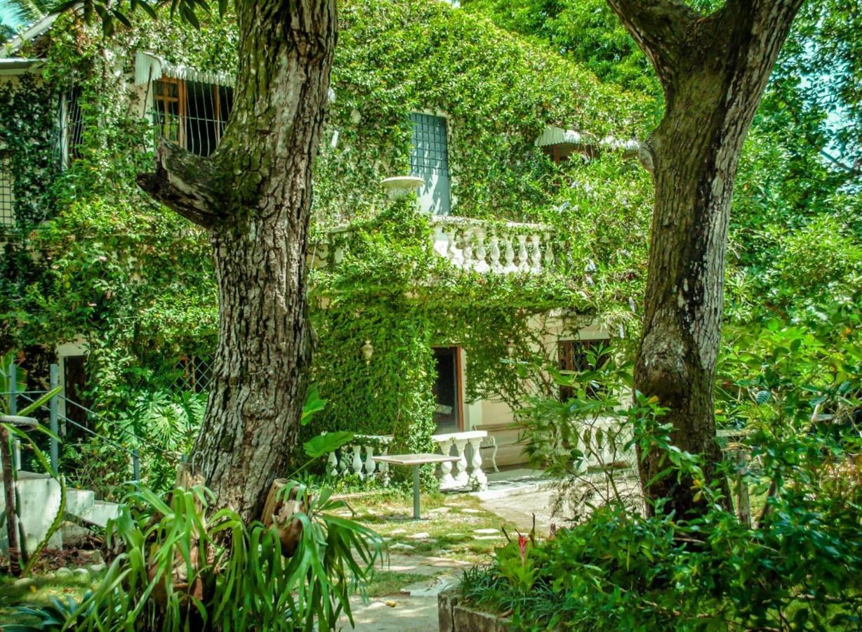 Villa Carolina Bed And Breakfast Пуэрто-Плата Экстерьер фото